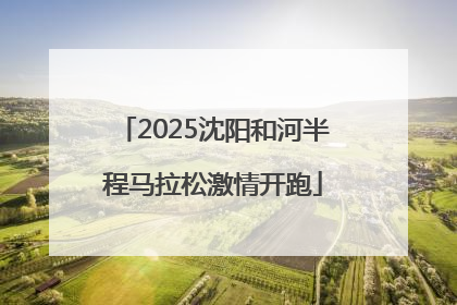 2025沈阳和河半程马拉松激情开跑