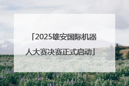 2025雄安国际机器人大赛决赛正式启动