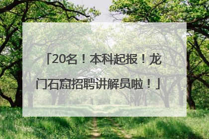 20名！本科起报！龙门石窟招聘讲解员啦！