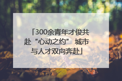 300余青年才俊共赴“心动之约” 城市与人才双向奔赴