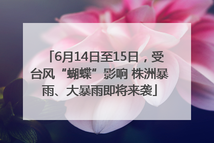 6月14日至15日，受台风“蝴蝶”影响 株洲暴雨、大暴雨即将来袭