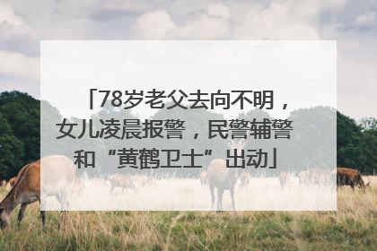 78岁老父去向不明，女儿凌晨报警，民警辅警和“黄鹤卫士”出动