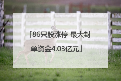 86只股涨停 最大封单资金4.03亿元