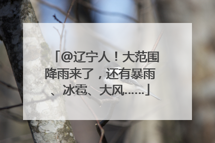 @辽宁人！大范围降雨来了，还有暴雨、冰雹、大风……