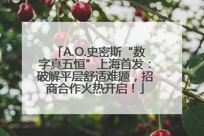 A.O.史密斯“数字真五恒”上海首发：破解平层舒适难题，招商合作火热开启！