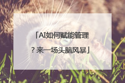 AI如何赋能管理？来一场头脑风暴